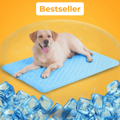 KoelNest – De Bestseller