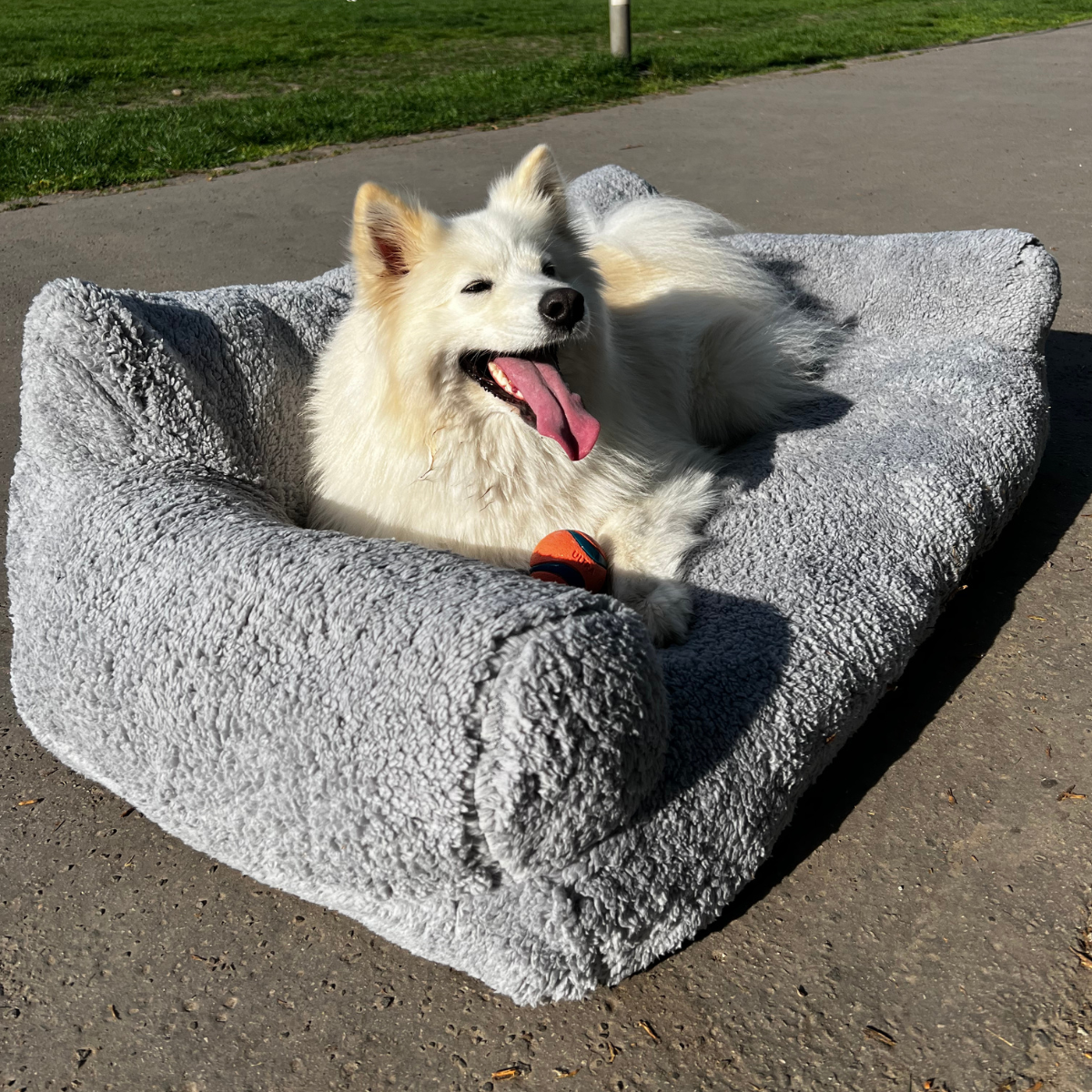 Beruhigendes Haustier Sofabett