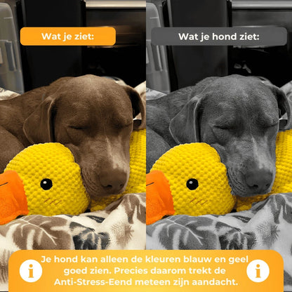 Anti-Stress-Ente - De Bestseller