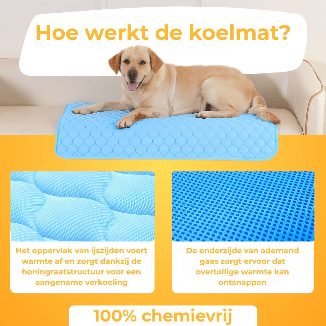 KoelNest – De Bestseller