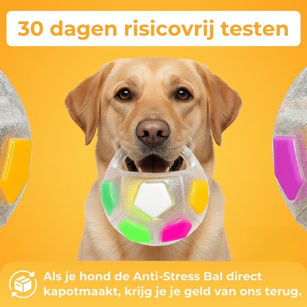Anti-Stressbal – De bestseller
