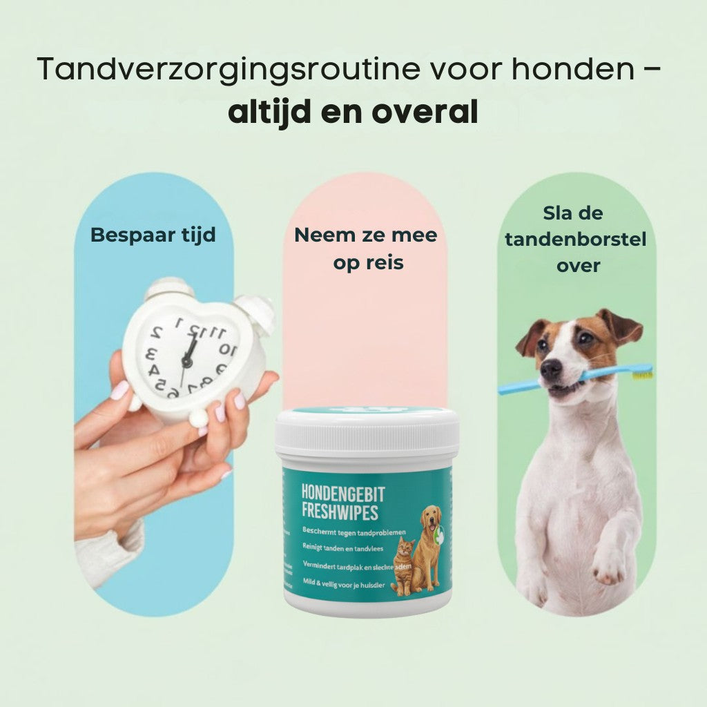FreshWipe Kit – Beschermt tegen tandproblemen