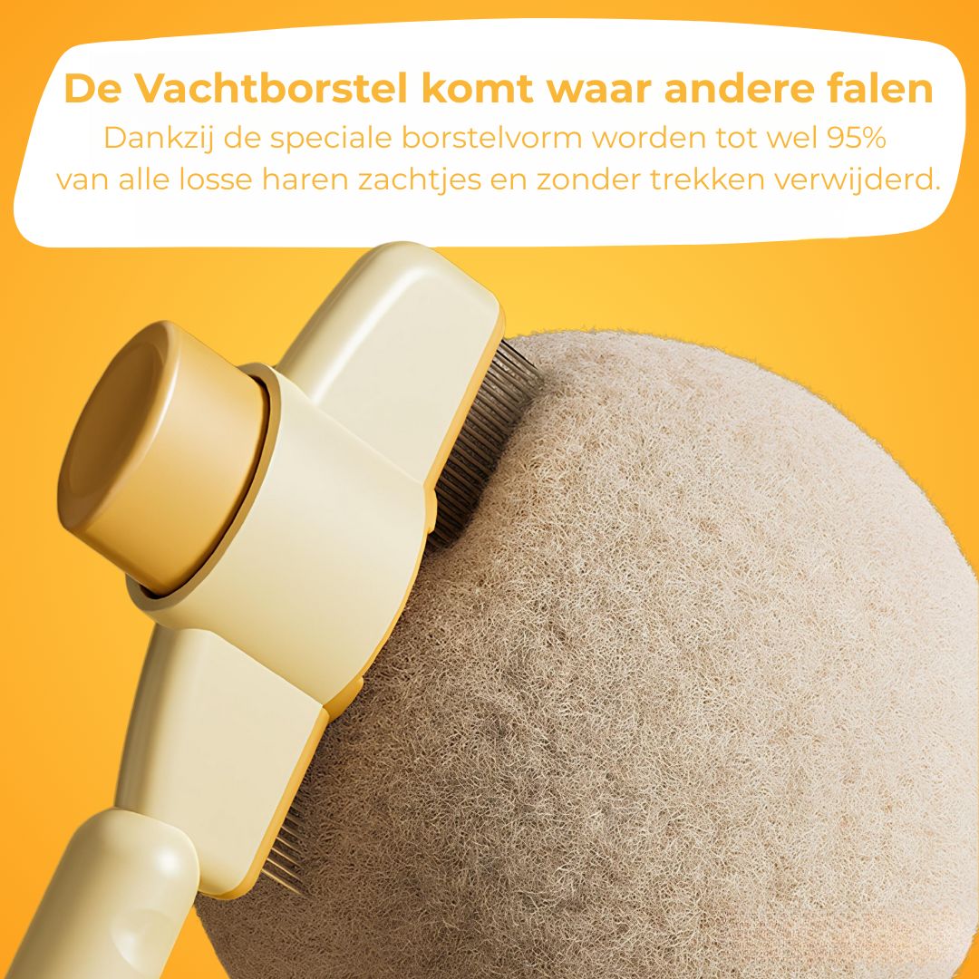 Vachtborstel - De bestseller