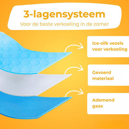 KoelNest – De Bestseller