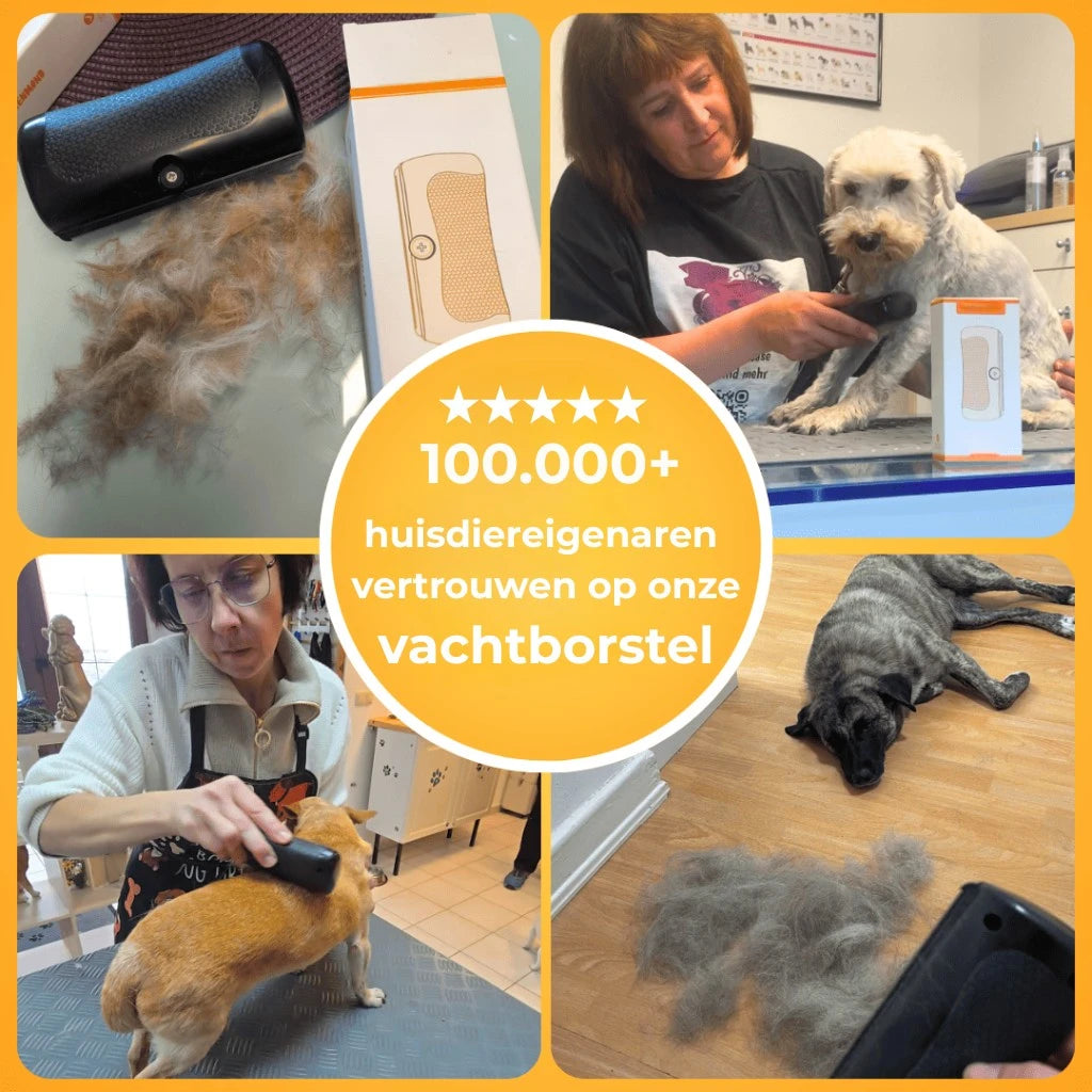 Vachtwonder Borstel - De Bestseller