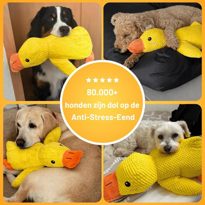 Anti-Stress-Ente - De Bestseller