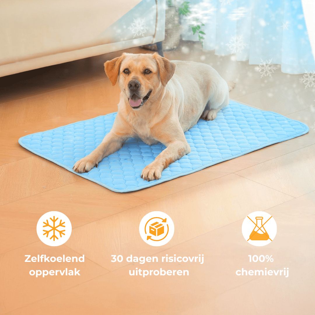 KoelNest – De Bestseller