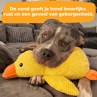 Anti-Stress-Ente - De Bestseller