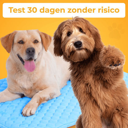 KoelNest – De Bestseller