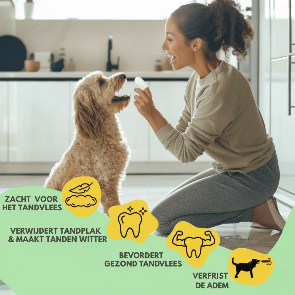 FreshWipe Kit – Beschermt tegen tandproblemen
