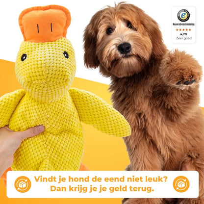 Anti-Stress-Ente - De Bestseller