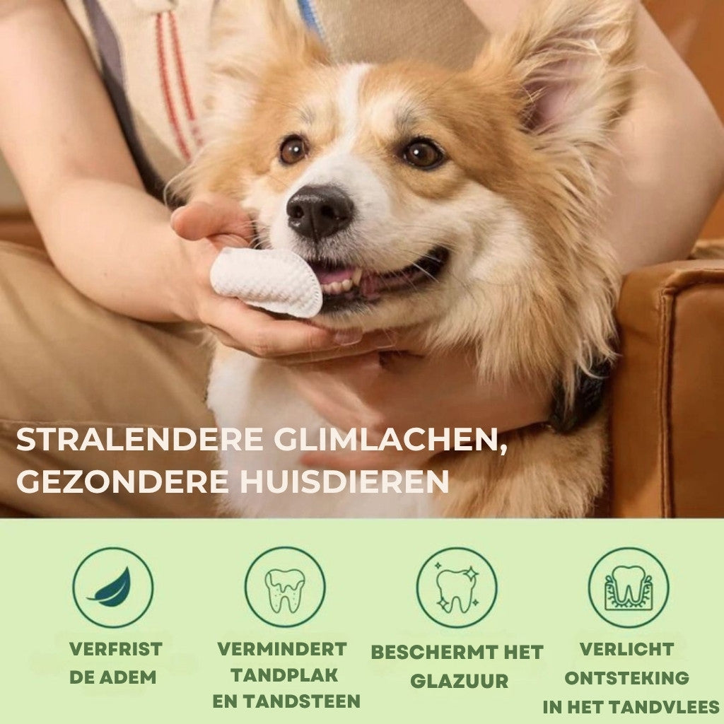 FreshWipe Kit – Beschermt tegen tandproblemen