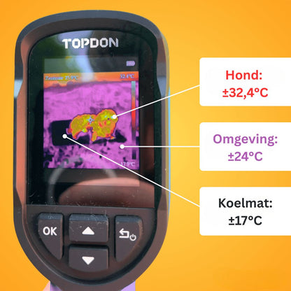 KoelNest – De Bestseller
