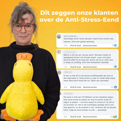 Anti-Stress-Ente - De Bestseller
