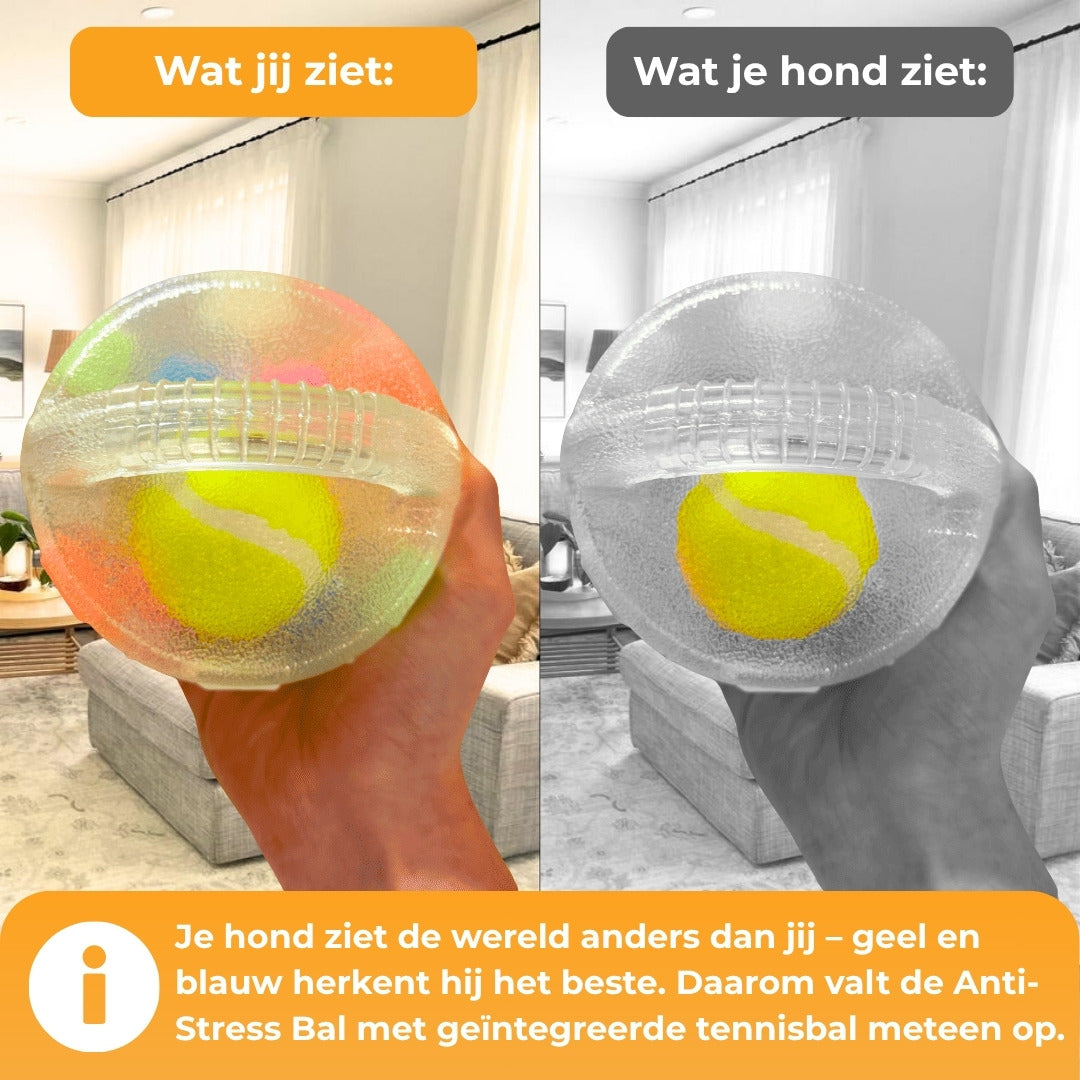 Anti-Stressbal – De bestseller