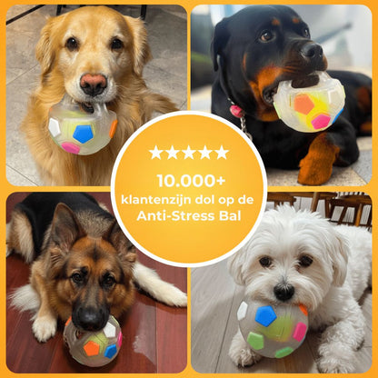 Anti-Stressbal – De bestseller