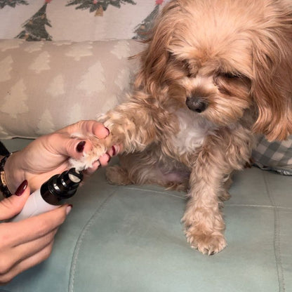 PawCalm™ - De Bestseller
