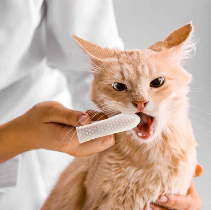 FreshWipe Kit – Beschermt tegen tandproblemen