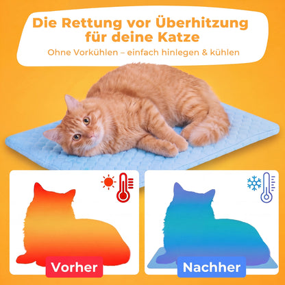 PfotenFrost - Der Bestseller