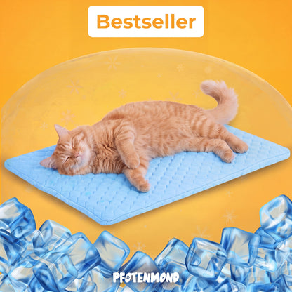 PfotenFrost - Der Bestseller