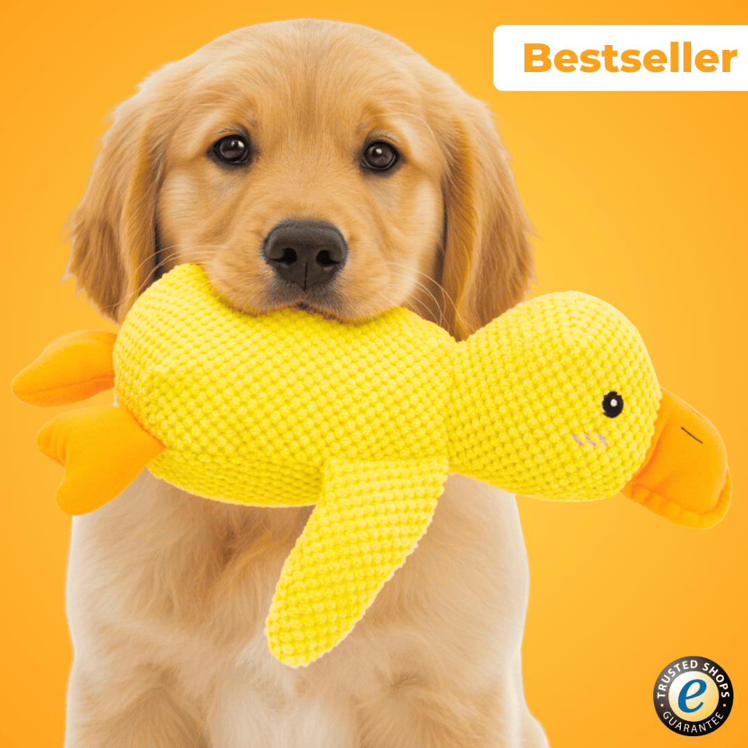 Anti-Stress-Ente - De Bestseller
