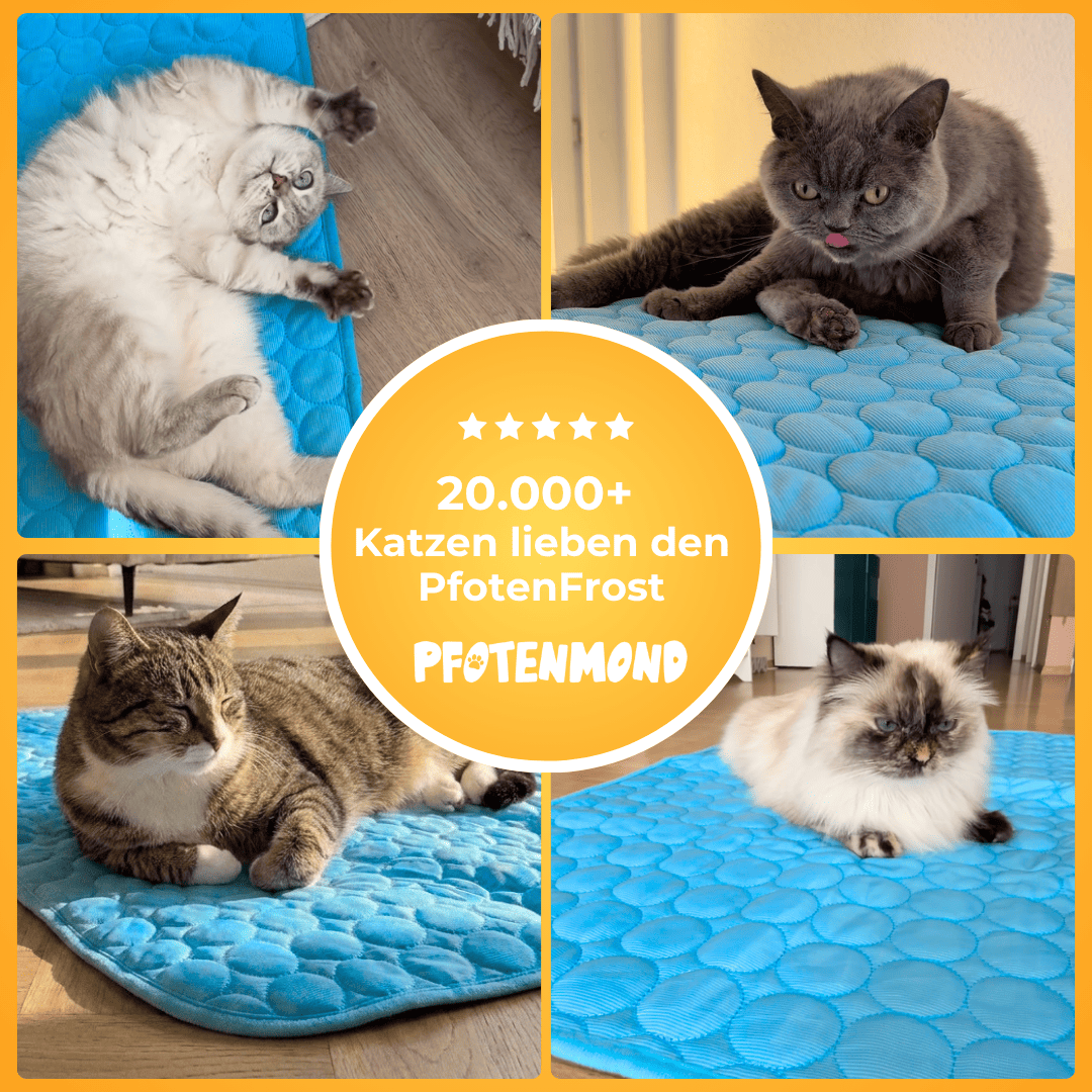 PfotenFrost - Der Bestseller